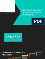 Tema 04 - Amplitud y Alcance de Los Servicios de Consultoría