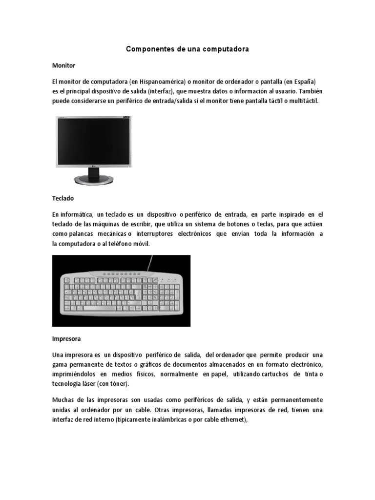 Componentes de Una Computadora | PDF | Periférico | Software