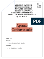 Aparato Cardiovascular