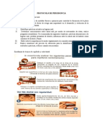 Protocolo de periodoncia: Enseñanza de higiene oral, raspado subgingival y profilaxis