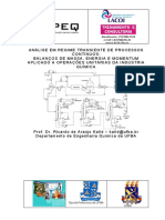 CICOP305KalidAnalisedeProcessosemRegimeTransiente