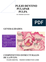 Complejo Dentino Pulapar