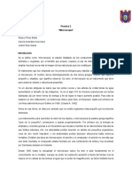 Informe 2