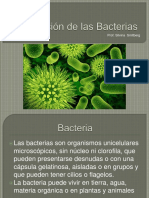 Clasificaciondebacterias 151012230422 Lva1 App6891