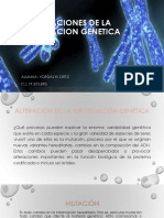 Alteracionesgeneticas 151101223229 Lva1 App6891