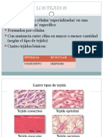 Lostejidosencitologiaginecologica 140924035500 Phpapp01