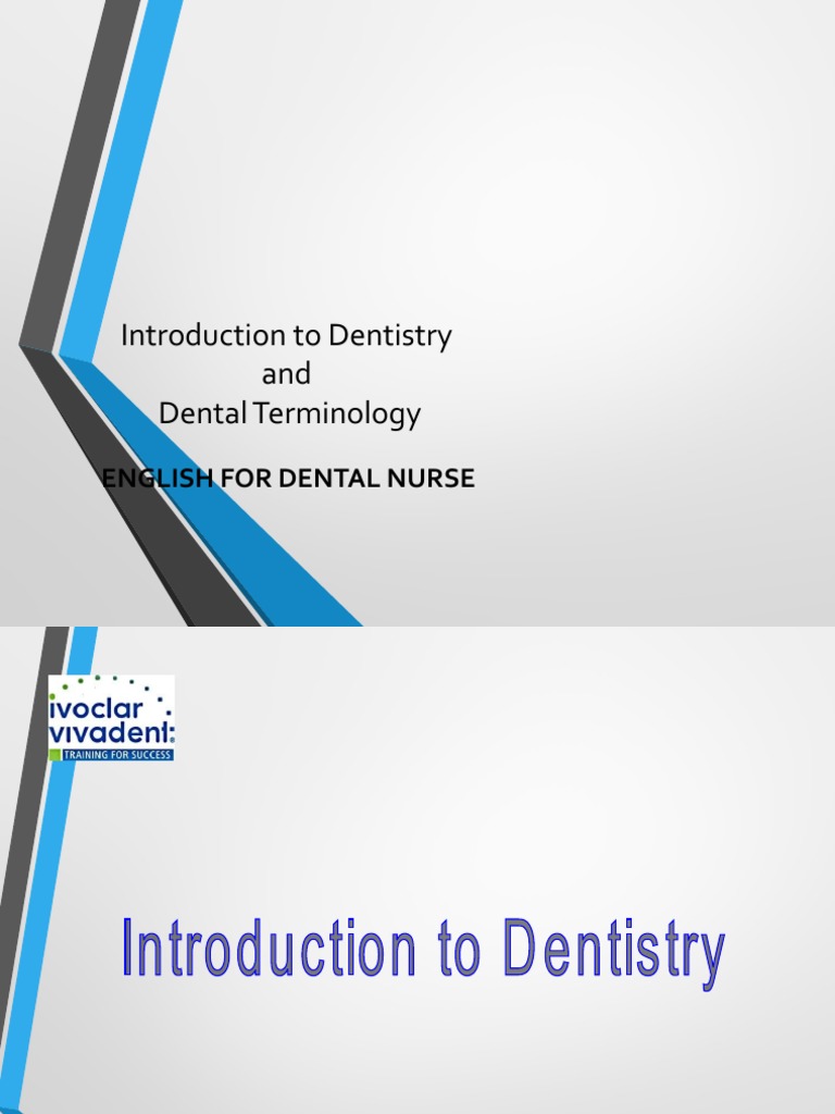 Introduction to Dental Terminology | PDF | Dentistry | Dentin