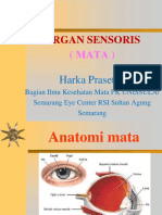 Organ Sensoris (Dr. Harka Prasetya, SP.M)