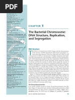 Molecular Genetics of Bacteria - The Bacterial Chromosome (1) (1) - 1-6 - Compressed