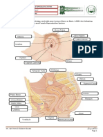 Activity Review of Male and Female Anatomy Macanlalay