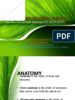 Anatomy and Physiology of Farm Animals