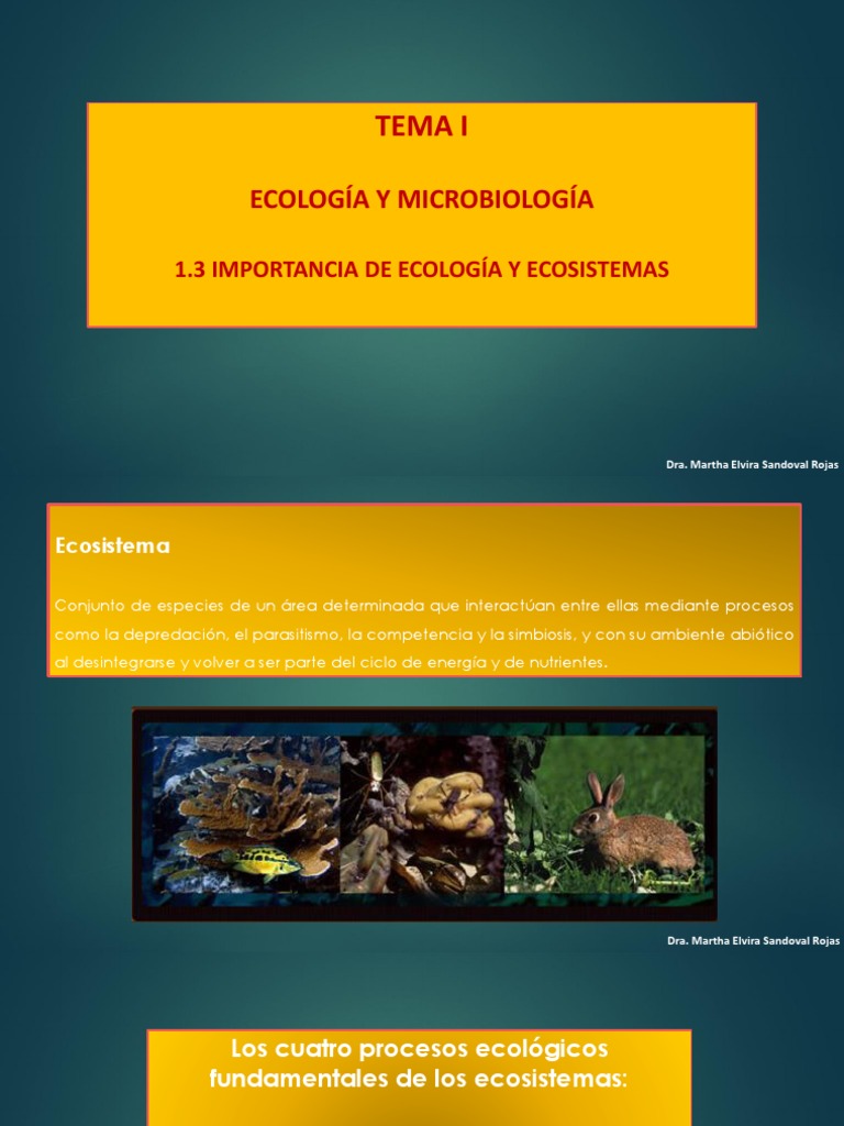 Ecología y Ecosistemas | PDF | Ecología | Ecosistema