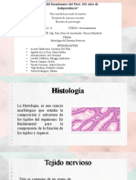 Ppt. Histologia Del Sistema Nervioso 1