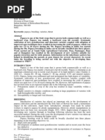 Download papaya breeding in india by chauhan1234 SN52990437 doc pdf