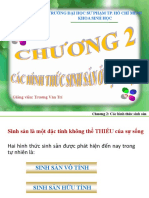 Chuong 2 - Cac Hinh Thuc Sinh San