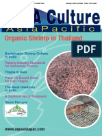 Organic Shrimp in Thailand