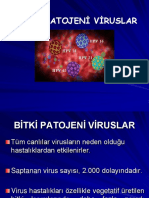 6 Virusler 4-1
