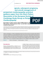 Long-term Prognosis, Subsequent Pregnancy, Contraception and Overall Management of Peripartum Cardiomyopathy: Practical Guidance Paper From the Heart Failure Association of the European Society of Cardiology Study Group on Peripartum Cardiomyopathy