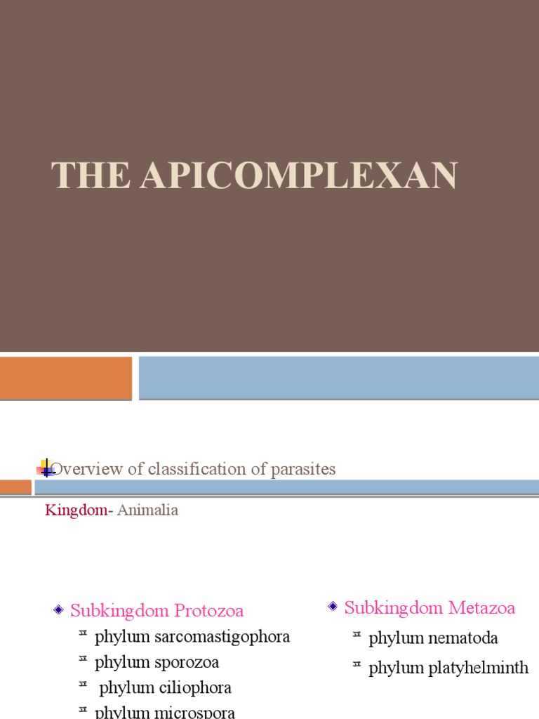 Apicomplexa | PDF | Medical Specialties | Clinical Medicine