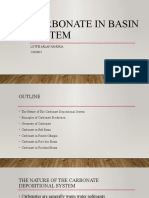 Carbonate Deposition in Basin System