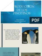 Reproducción de Los Pingüinos