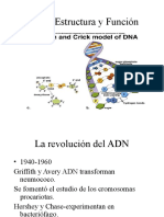 Generalidades Del ADN