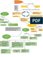 Mapa Conceptual