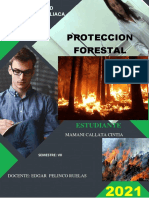 Proteccion Forestal- Analisis i. f