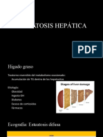 Esteatosis Hepática