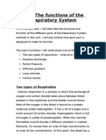 4.2 - Respiratory System