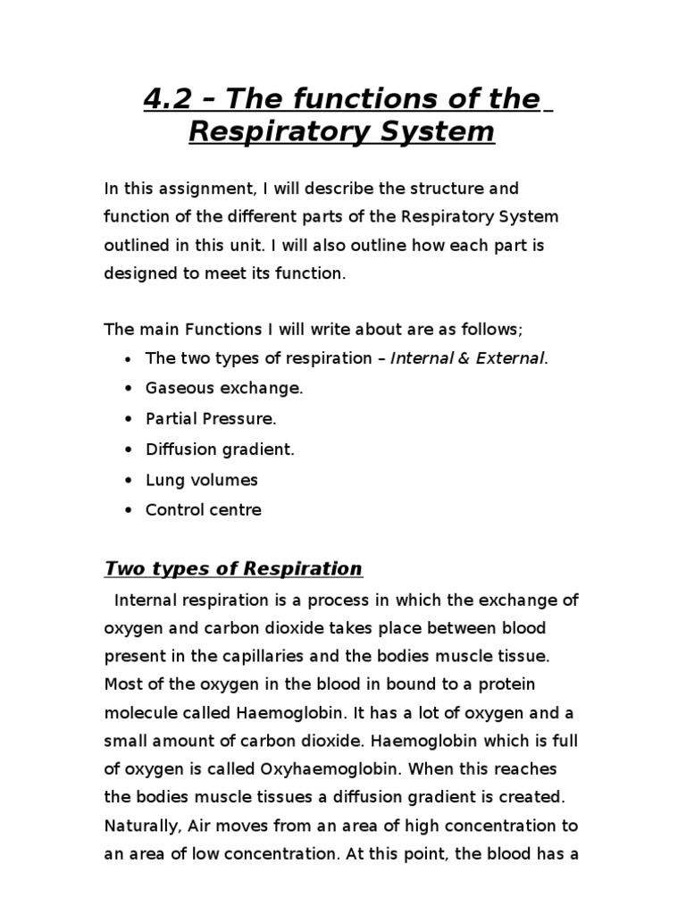 What is the study of breathing called image