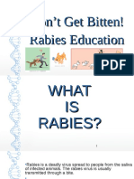 RABIES - Health Teaching BSN1D