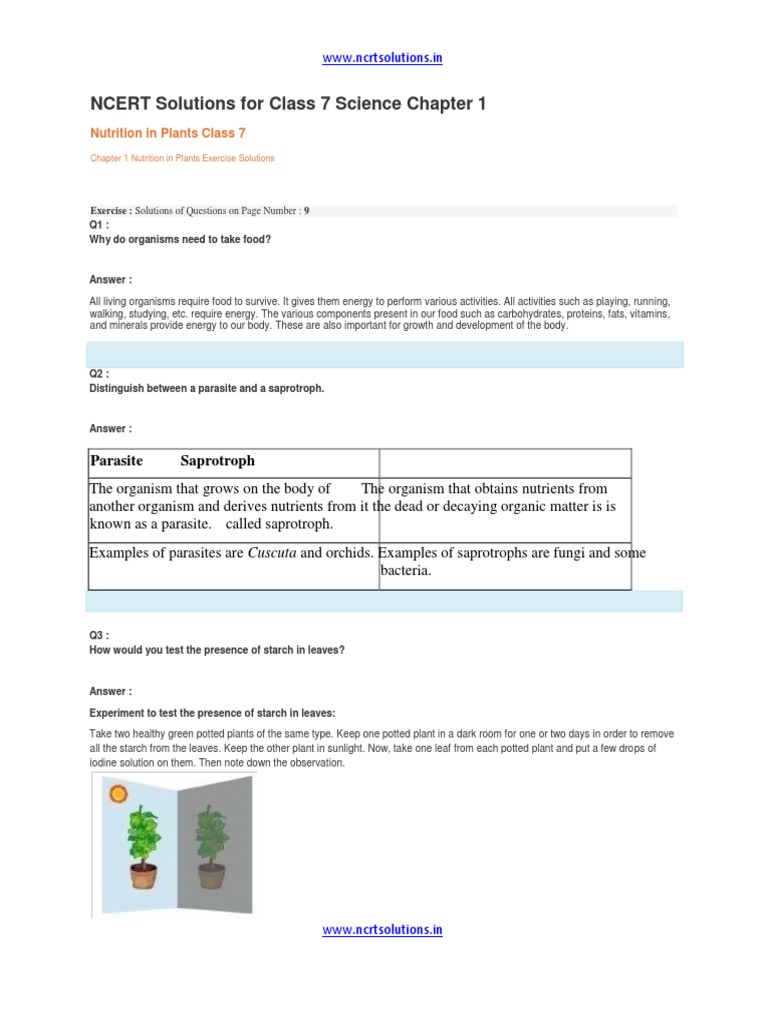 NCERT Solutions For Class 7 Science Chapter 1 | PDF | Photosynthesis ...