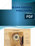 Fisiologi Penglihatan