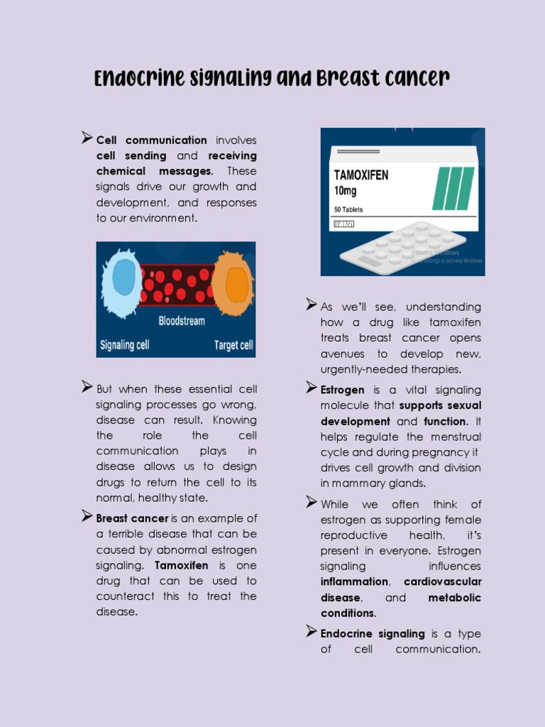 Interactive - Endocrine Signaling and Breast Cancer | PDF | Cell ...