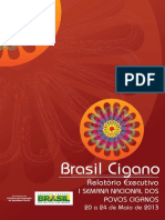 Relatorio Executivo Brasil Cigano
