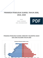 Junariah, Piramida Penduduk Sumsel