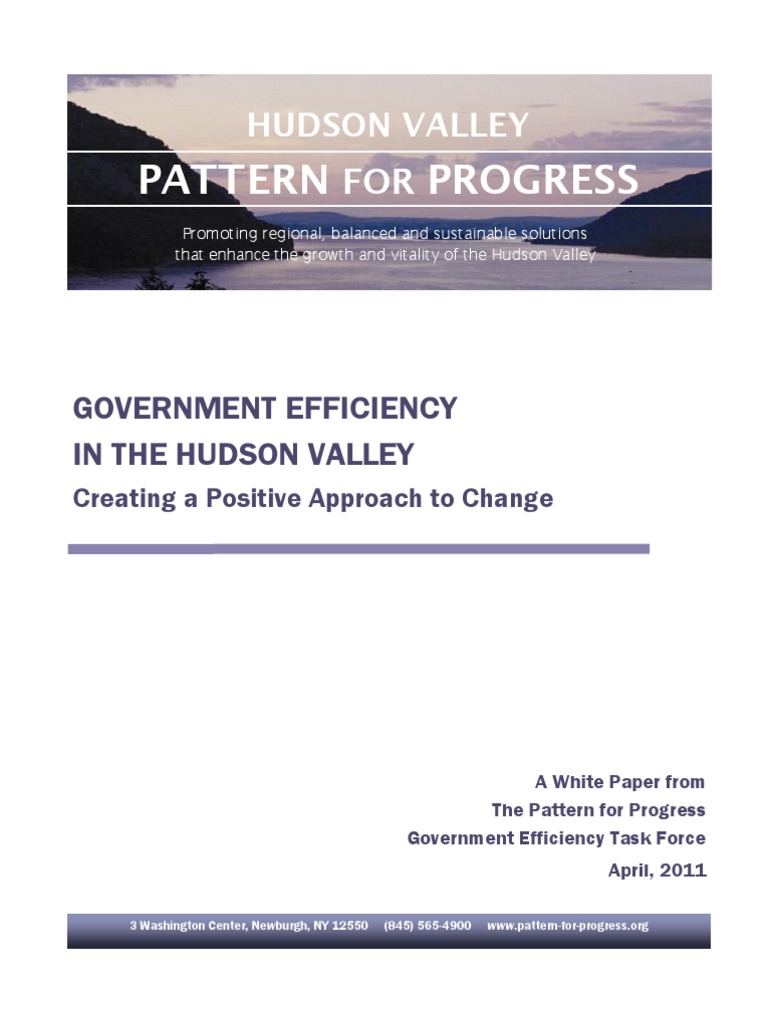 Pattern For Progress On Government Efficiency | PDF