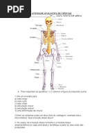 Ativiadade Avaliativa de Ciências Ossos e músculos