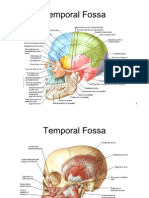 Deep_Face_Infratemporal_Fossa