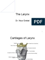 The Larynx: Dr. Nour Erekat