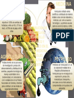 CONTRIBUCIÓN DE VENEZUELA AL DESARROLLO CIENTÍFICO Y TECNOLÓGICO EN EL ÁREA DE MEDICINA, PETRÓLEO, AGRICULTURA Y ALIMENTOS.
