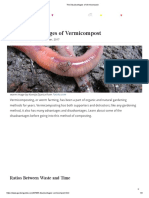 The Disadvantages of Vermicompost