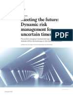 Meeting The Future Dynamic Risk Management For Uncertain Times