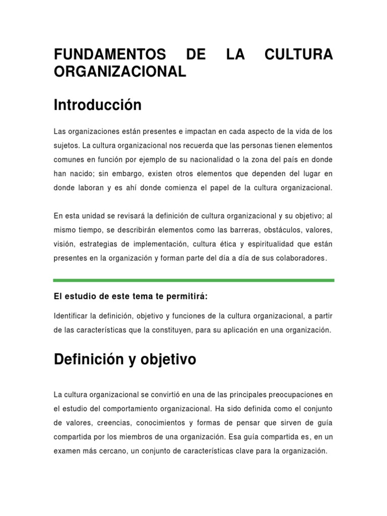 Fundamentos de la Cultura Organizacional | PDF | Cultura organizacional ...