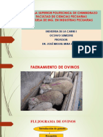 Faenamiento Ovinos 4