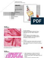 Histologia