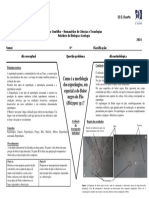 Relatório V de Going - Esporulação - Ultimo