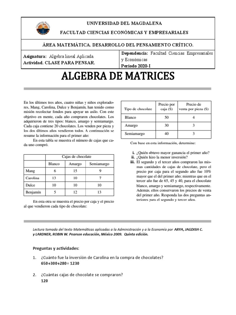 Algebra de Matrices Actividad | PDF | Matriz (Matemáticas) | Precios