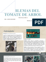 Problemas Del Tomate de Arbol